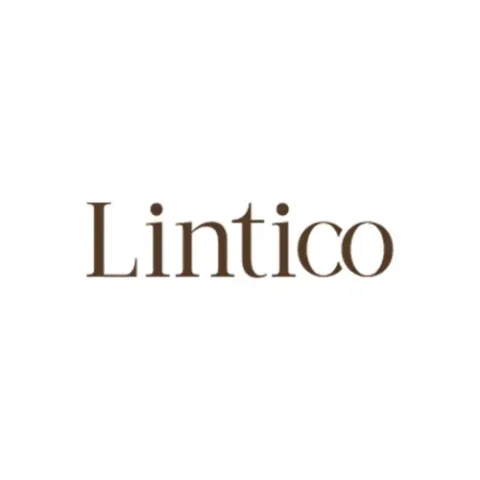 lintico1744966841983